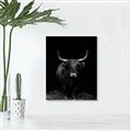Picture of Dixie, the Bull II _GroupedProduct_Rectangle_Portrait_Photography _GroupedProduct_Rectangle_Portrait_Unframed_Print_Only_