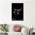 Picture of Dixie, the Bull II _GroupedProduct_Rectangle_Portrait_Photography _GroupedProduct_Rectangle_Portrait_Unframed_Print_Only_