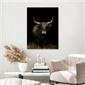 Picture of Dixie, the Bull II _GroupedProduct_Rectangle_Portrait_Photography _GroupedProduct_Rectangle_Portrait_Unframed_Print_Only_