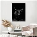 Picture of Dixie, the Bull II _GroupedProduct_Rectangle_Portrait_Photography _GroupedProduct_Rectangle_Portrait_Unframed_Print_Only_