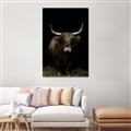 Picture of Dixie, the Bull II _GroupedProduct_Rectangle_Portrait_Photography _GroupedProduct_Rectangle_Portrait_Unframed_Print_Only_
