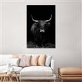 Picture of Dixie, the Bull II _GroupedProduct_Rectangle_Portrait_Photography _GroupedProduct_Rectangle_Portrait_Unframed_Print_Only_