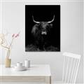 Picture of Dixie, the Bull II _GroupedProduct_Rectangle_Portrait_Photography _GroupedProduct_Rectangle_Portrait_Unframed_Print_Only_