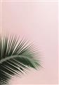 Picture of Leaves on Pink _GroupedProduct_Rectangle_Portrait_Photography _GroupedProduct_Rectangle_Portrait_Unframed_Print_Only_