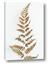 Picture of Dried Fern Leaf
