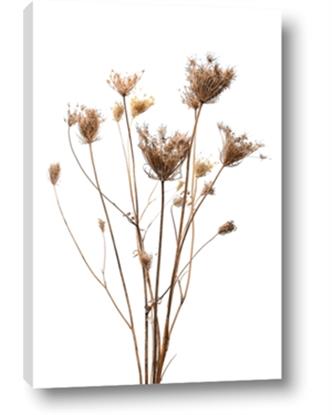 Picture of Dried Flower III