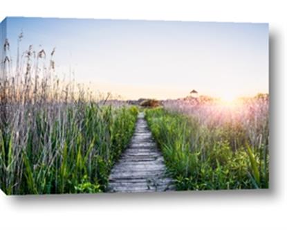 Picture of Field of Dreams