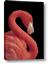 Picture of Flamingo Flame