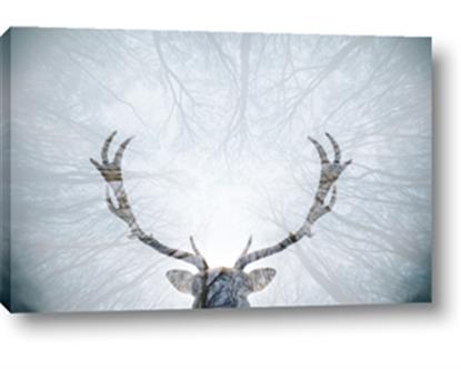 Picture of Forest Stag