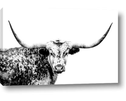 Picture of Jackson, The Bull