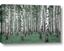Picture of Just Trees