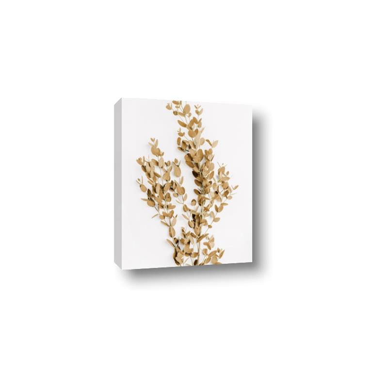 Picture of Dried Eucalyptus   _GroupedProduct_Rectangle_Portrait_Photography _GroupedProduct_Rectangle_Portrait_Canvas_
