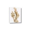 Picture of Dried Eucalyptus   _GroupedProduct_Rectangle_Portrait_Photography _GroupedProduct_Rectangle_Portrait_Canvas_