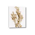 Picture of Dried Eucalyptus   _GroupedProduct_Rectangle_Portrait_Photography _GroupedProduct_Rectangle_Portrait_Canvas_