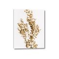 Picture of Dried Eucalyptus   _GroupedProduct_Rectangle_Portrait_Photography _GroupedProduct_Rectangle_Portrait_Canvas_