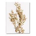 Picture of Dried Eucalyptus   _GroupedProduct_Rectangle_Portrait_Photography _GroupedProduct_Rectangle_Portrait_Canvas_