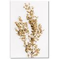 Picture of Dried Eucalyptus   _GroupedProduct_Rectangle_Portrait_Photography _GroupedProduct_Rectangle_Portrait_Canvas_