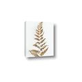 Picture of Dried Fern Leaf  _GroupedProduct_Rectangle_Portrait_Photography _GroupedProduct_Rectangle_Portrait_Canvas_