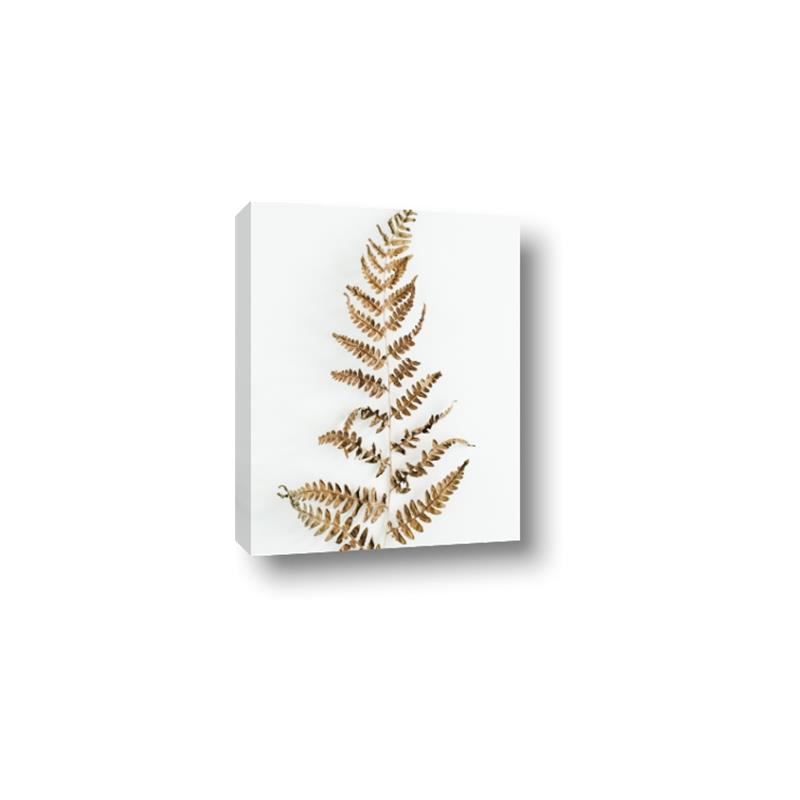 Picture of Dried Fern Leaf  _GroupedProduct_Rectangle_Portrait_Photography _GroupedProduct_Rectangle_Portrait_Canvas_