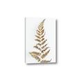 Picture of Dried Fern Leaf  _GroupedProduct_Rectangle_Portrait_Photography _GroupedProduct_Rectangle_Portrait_Canvas_