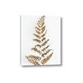 Picture of Dried Fern Leaf  _GroupedProduct_Rectangle_Portrait_Photography _GroupedProduct_Rectangle_Portrait_Canvas_
