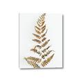 Picture of Dried Fern Leaf  _GroupedProduct_Rectangle_Portrait_Photography _GroupedProduct_Rectangle_Portrait_Canvas_