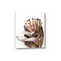 Picture of Dried Flower I  _GroupedProduct_Rectangle_Portrait_Photography _GroupedProduct_Rectangle_Portrait_Canvas_