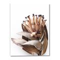Picture of Dried Flower I  _GroupedProduct_Rectangle_Portrait_Photography _GroupedProduct_Rectangle_Portrait_Canvas_