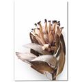 Picture of Dried Flower I  _GroupedProduct_Rectangle_Portrait_Photography _GroupedProduct_Rectangle_Portrait_Canvas_