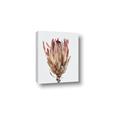 Picture of Dried Flower II _GroupedProduct_Rectangle_Portrait_Photography _GroupedProduct_Rectangle_Portrait_Canvas_