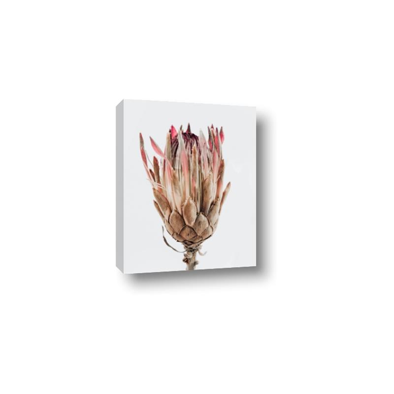 Picture of Dried Flower II _GroupedProduct_Rectangle_Portrait_Photography _GroupedProduct_Rectangle_Portrait_Canvas_