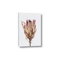Picture of Dried Flower II _GroupedProduct_Rectangle_Portrait_Photography _GroupedProduct_Rectangle_Portrait_Canvas_