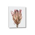 Picture of Dried Flower II _GroupedProduct_Rectangle_Portrait_Photography _GroupedProduct_Rectangle_Portrait_Canvas_