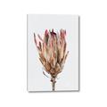 Picture of Dried Flower II _GroupedProduct_Rectangle_Portrait_Photography _GroupedProduct_Rectangle_Portrait_Canvas_