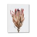 Picture of Dried Flower II _GroupedProduct_Rectangle_Portrait_Photography _GroupedProduct_Rectangle_Portrait_Canvas_