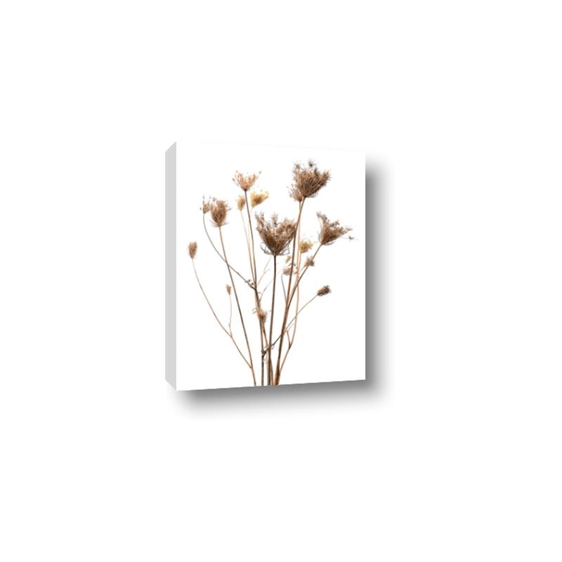 Picture of Dried Flower III  _GroupedProduct_Rectangle_Portrait_Photography _GroupedProduct_Rectangle_Portrait_Canvas_