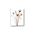 Picture of Dried Flower III  _GroupedProduct_Rectangle_Portrait_Photography _GroupedProduct_Rectangle_Portrait_Canvas_