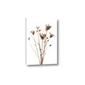 Picture of Dried Flower III  _GroupedProduct_Rectangle_Portrait_Photography _GroupedProduct_Rectangle_Portrait_Canvas_