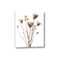 Picture of Dried Flower III  _GroupedProduct_Rectangle_Portrait_Photography _GroupedProduct_Rectangle_Portrait_Canvas_