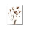 Picture of Dried Flower III  _GroupedProduct_Rectangle_Portrait_Photography _GroupedProduct_Rectangle_Portrait_Canvas_