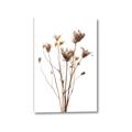Picture of Dried Flower III  _GroupedProduct_Rectangle_Portrait_Photography _GroupedProduct_Rectangle_Portrait_Canvas_