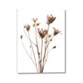 Picture of Dried Flower III  _GroupedProduct_Rectangle_Portrait_Photography _GroupedProduct_Rectangle_Portrait_Canvas_