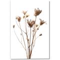 Picture of Dried Flower III  _GroupedProduct_Rectangle_Portrait_Photography _GroupedProduct_Rectangle_Portrait_Canvas_