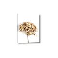 Picture of Dried Hydrangea _GroupedProduct_Rectangle_Portrait_Photography _GroupedProduct_Rectangle_Portrait_Canvas_