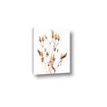 Picture of Dried Lilies  _GroupedProduct_Rectangle_Portrait_Photography _GroupedProduct_Rectangle_Portrait_Canvas_