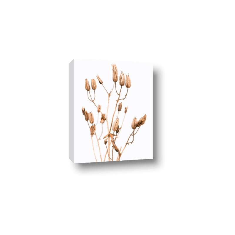 Picture of Dried Lilies  _GroupedProduct_Rectangle_Portrait_Photography _GroupedProduct_Rectangle_Portrait_Canvas_