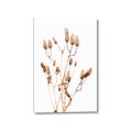 Picture of Dried Lilies  _GroupedProduct_Rectangle_Portrait_Photography _GroupedProduct_Rectangle_Portrait_Canvas_