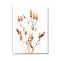 Picture of Dried Lilies  _GroupedProduct_Rectangle_Portrait_Photography _GroupedProduct_Rectangle_Portrait_Canvas_