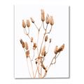 Picture of Dried Lilies  _GroupedProduct_Rectangle_Portrait_Photography _GroupedProduct_Rectangle_Portrait_Canvas_