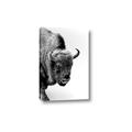 Picture of Buffalo Bill _GroupedProduct_Rectangle_Portrait_Photography _GroupedProduct_Rectangle_Portrait_Canvas_